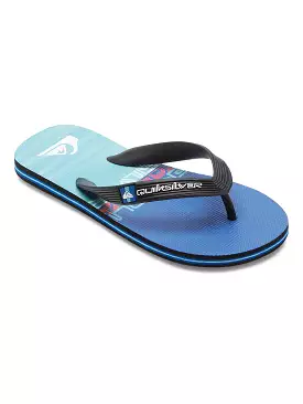 Quiksilver Boys Molokai Art II Flip Flops