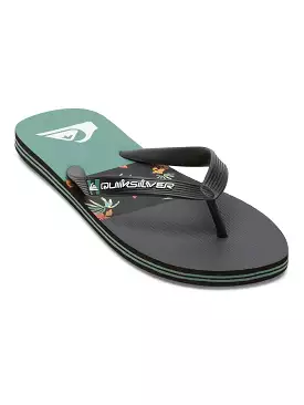 Quiksilver Men's Molokai Stripe Flip Flops