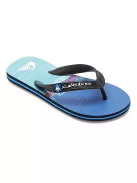 Quiksilver Molokai Art II Flip Flops