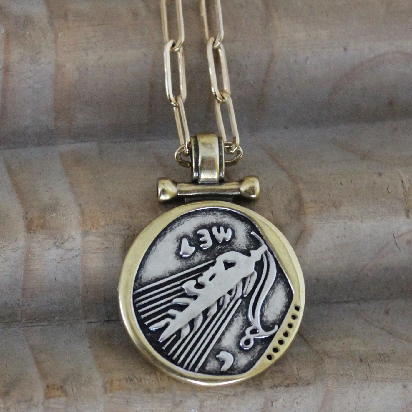 The Greek Goddess Coin Necklace